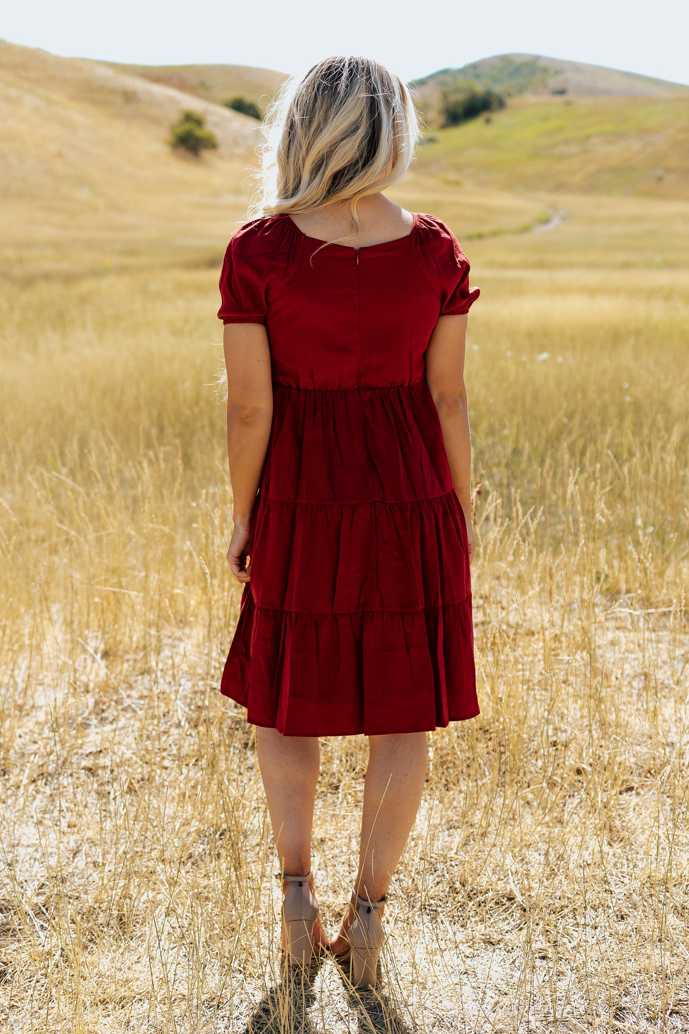 A back shot of a red modest dress with a knee length skirt and short sleeves.